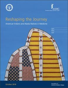 Reshaping the Journey: American Indians and Alaska Natives in Medicine
